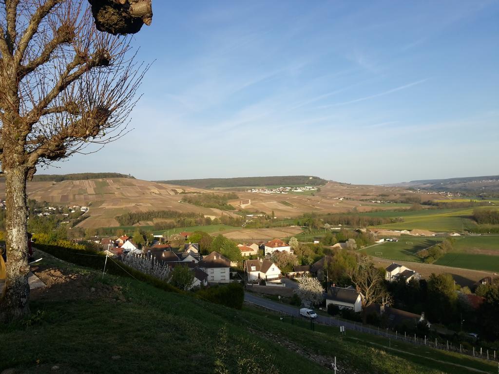 Au Coin Du Feu Villa Châtillon-sur-Marne Buitenkant foto