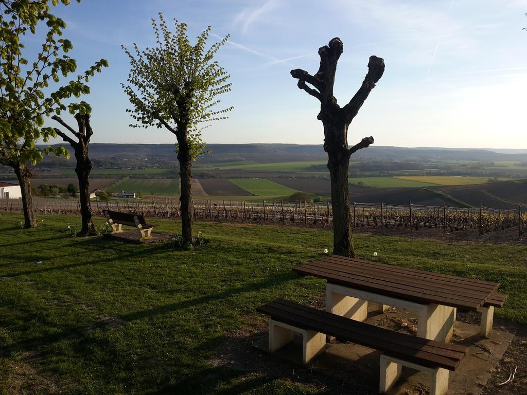 Au Coin Du Feu Villa Châtillon-sur-Marne Buitenkant foto